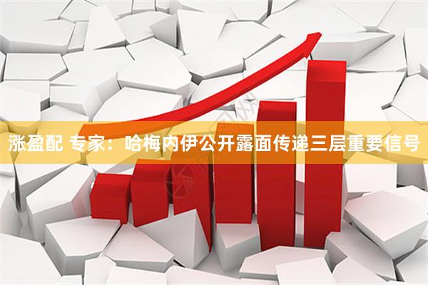 涨盈配 专家：哈梅内伊公开露面传递三层重要信号