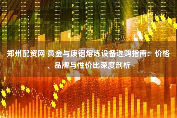 郑州配资网 黄金与废铝熔炼设备选购指南：价格、品牌与性价比深度剖析